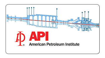 API Standards In Rotor Dynamics Seminar